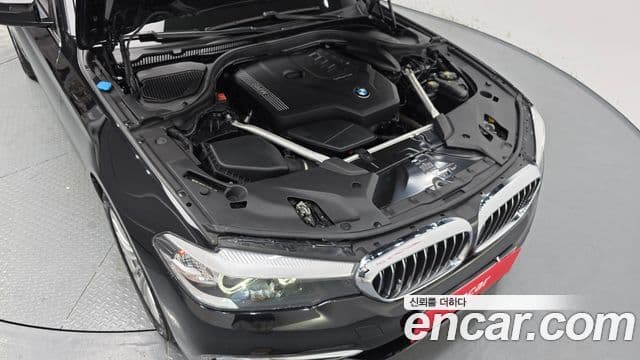 BMW 5시리즈 (G30) Luxury, 2020 6