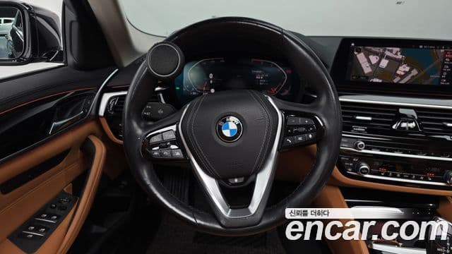 BMW 5시리즈 (G30) Luxury, 2020 13