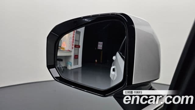 Hyundai Santa Fe (MX5) Calligraphy, 2024 17