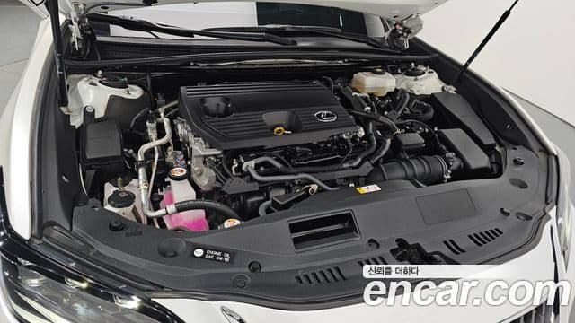 Lexus ES300h 7세대 Executive, 2023 6