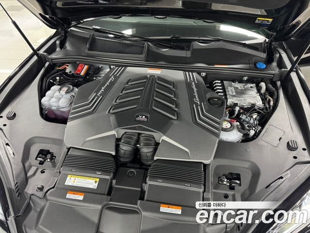 Lamborghini Urus 4.0 V8 SE, 2025 все фото