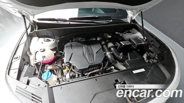 Kia Sorento 4세대 Signature, 2023 6