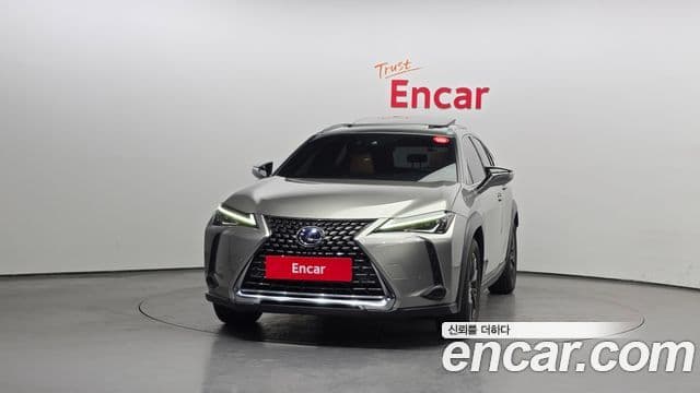 Lexus UX250h, 2019 3