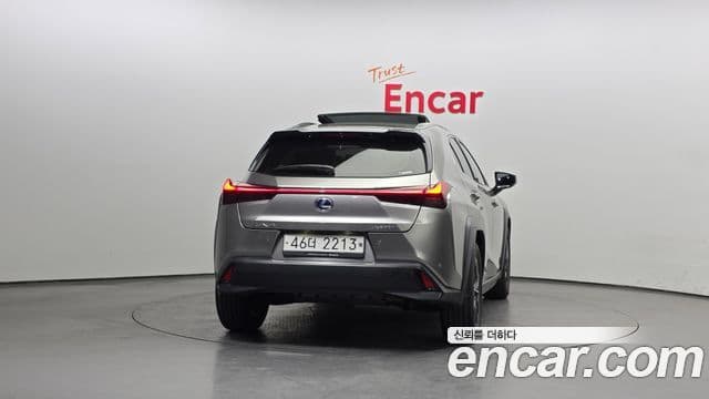 Lexus UX250h, 2019 4