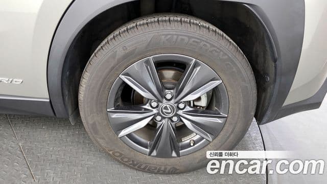 Lexus UX250h, 2019 все фото