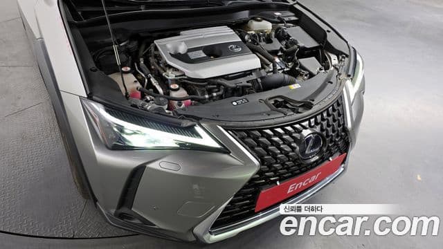 Lexus UX250h, 2019 6