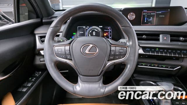 Lexus UX250h, 2019 13