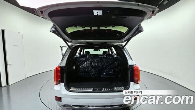 Hyundai Palisade Calligraphy, 2022 19