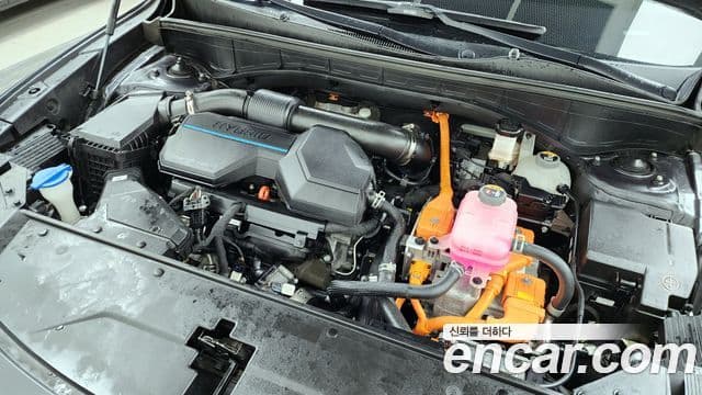 Kia Sorento 4세대 Noblesse, 2022 6