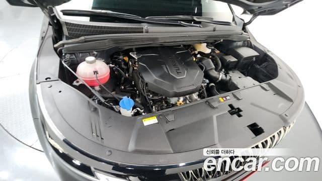 Kia Carnival 4세대 Signature, 2023 6