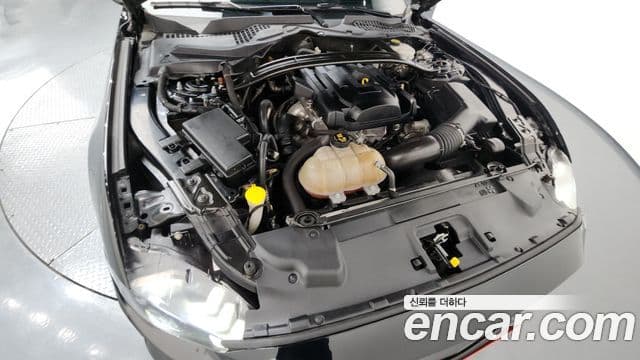 Ford Mustang кабриолет, 2019 6