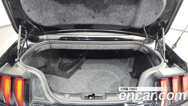 Ford Mustang кабриолет, 2019 20