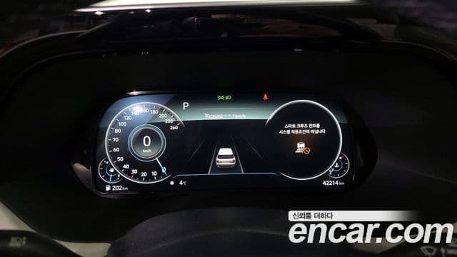 Hyundai Palisade Prestige, 2021 8