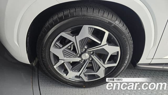 Hyundai Palisade Calligraphy, 2022 все фото