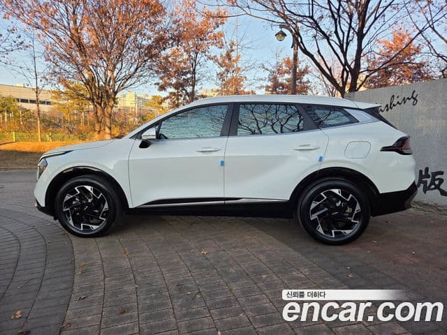 Kia Sportage 5세대 Signature, 2023 все фото