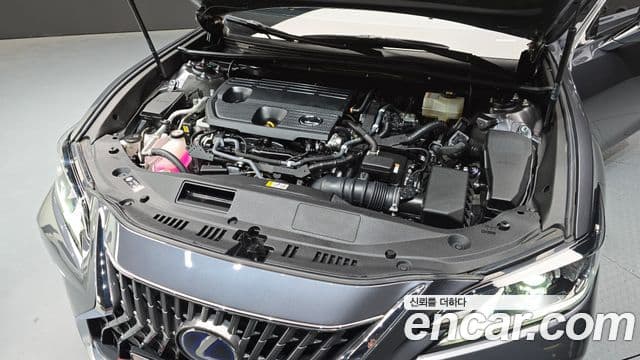 Lexus ES300h 7세대 Luxury Plus, 2022 6
