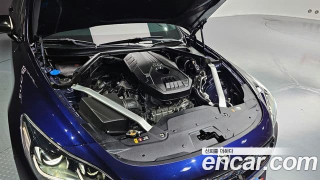 Kia 스팅어 Platinum, 2018 6