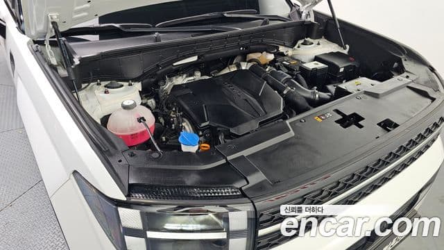 Hyundai Santa Fe (MX5) Calligraphy, 2024 6