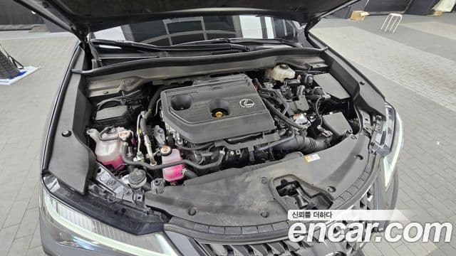 Lexus UX300h, 2025 6