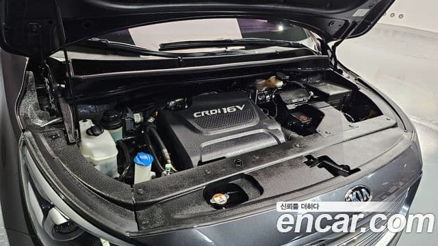 Kia All New Carnival Noblesse, 2017 6