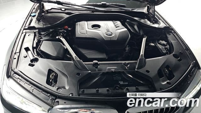 BMW 5시리즈 (G30) 530i Luxury Plus, 2019 6