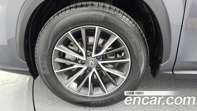 Lexus NX450h+ 2세대 Premium, 2022 все фото