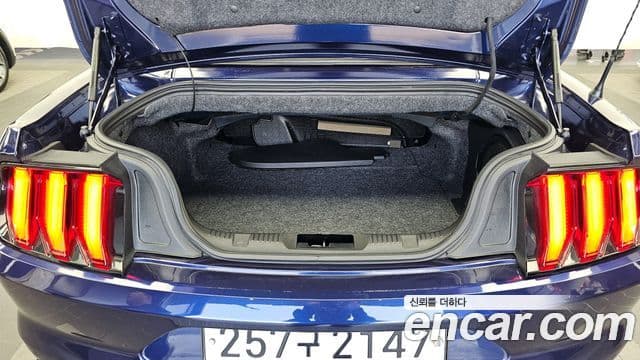 Ford Mustang GT кабриолет, 2020 20