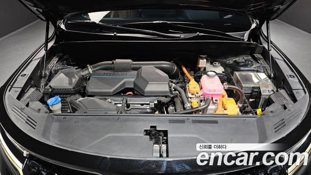 Kia Sorento 4세대 Noblesse, 2021 6