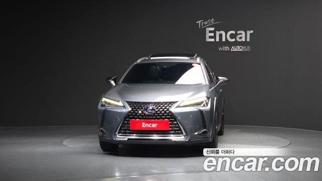 Lexus UX250h, 2019 3