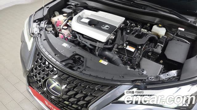 Lexus UX250h, 2019 6