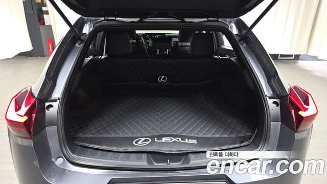 Lexus UX250h, 2019 20