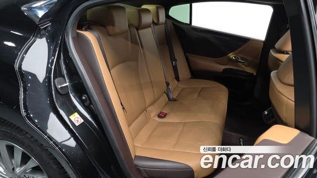 Lexus ES300h 7세대 Luxury Plus, 2019 12
