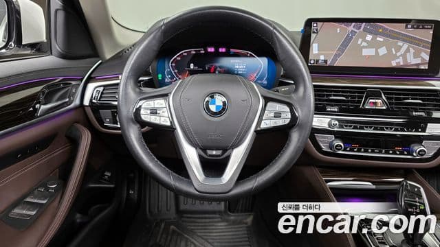 BMW 5시리즈 (G30) Luxury, 2022 13