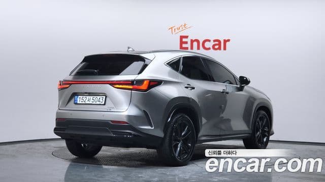 Lexus NX350h 2세대 Premium, 2024 2