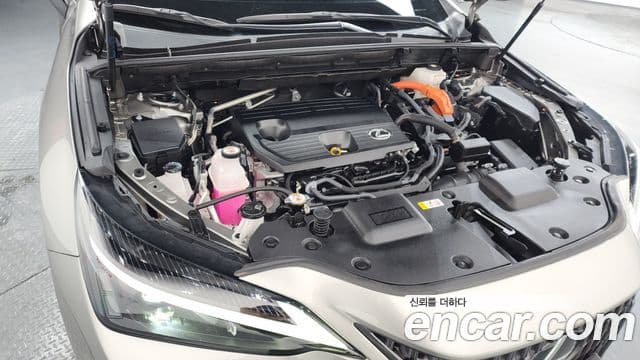 Lexus NX350h 2세대 Premium, 2024 6