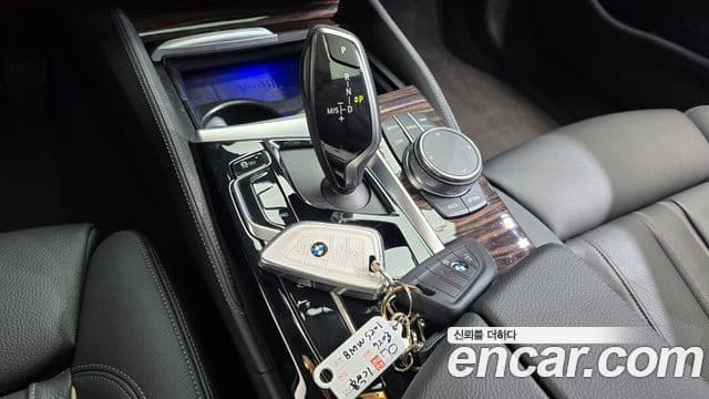 BMW 5시리즈 (G30) Luxury, 2023 9