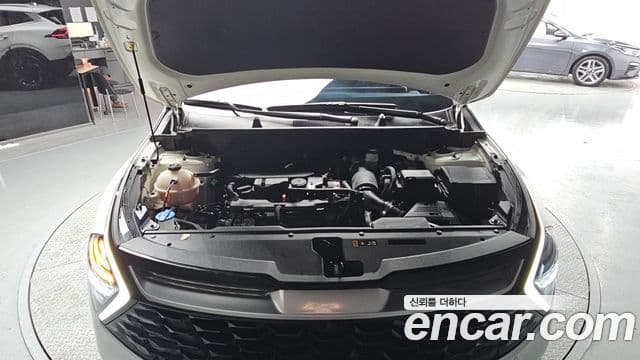Kia Sportage 5세대 Signature, 2022 6