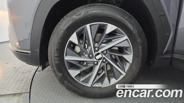 Hyundai Tucson (NX4) Premium, 2023 все фото