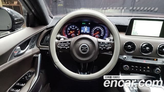 Kia 스팅어 Platinum, 2019 13