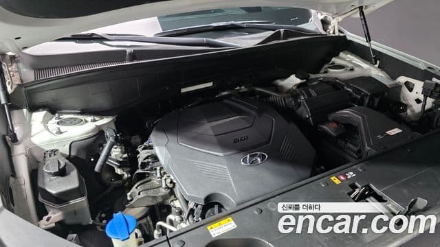 Hyundai Palisade Prestige, 2019 6