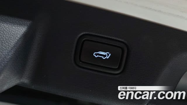 Hyundai Palisade Prestige, 2019 18