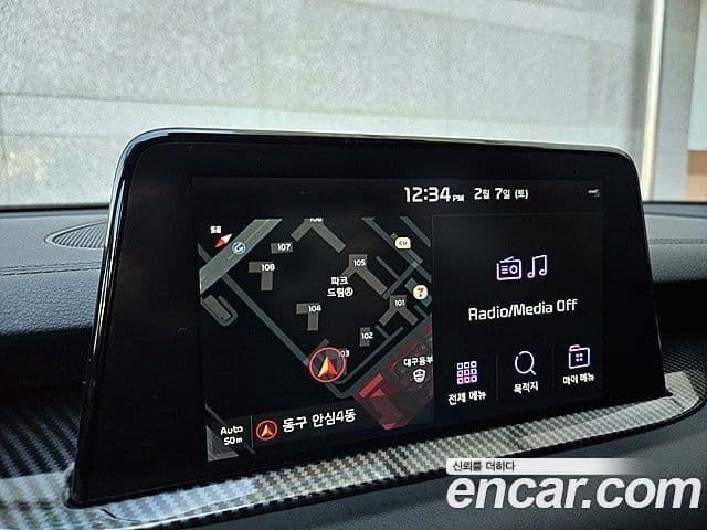 Kia 스팅어 Platinum, 2019 15