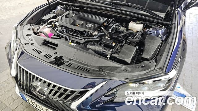 Lexus ES300h 7세대 Executive, 2024 6