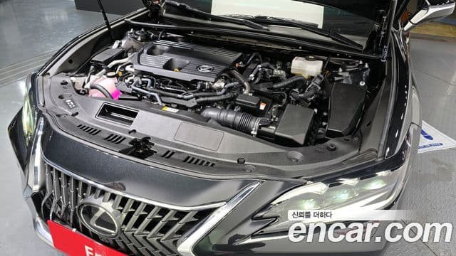 Lexus ES300h 7세대 Executive, 2025 6