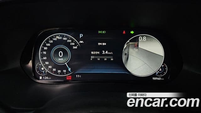 Hyundai Palisade Prestige, 2021 8