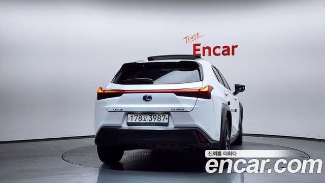 Lexus UX250h, 2019 4