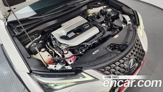 Lexus UX250h, 2019 6