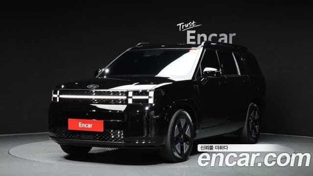 Hyundai Santa Fe (MX5) Calligraphy, 2024 1