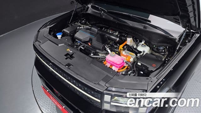 Hyundai Santa Fe (MX5) Calligraphy, 2024 6