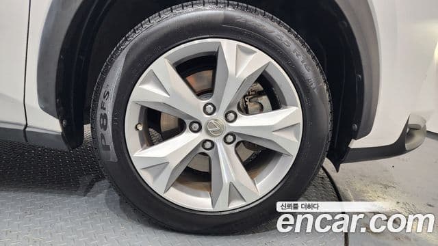 Lexus NX300h Executive, 2016 все фото